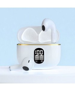 Strawberry Kingdom Airpods C1